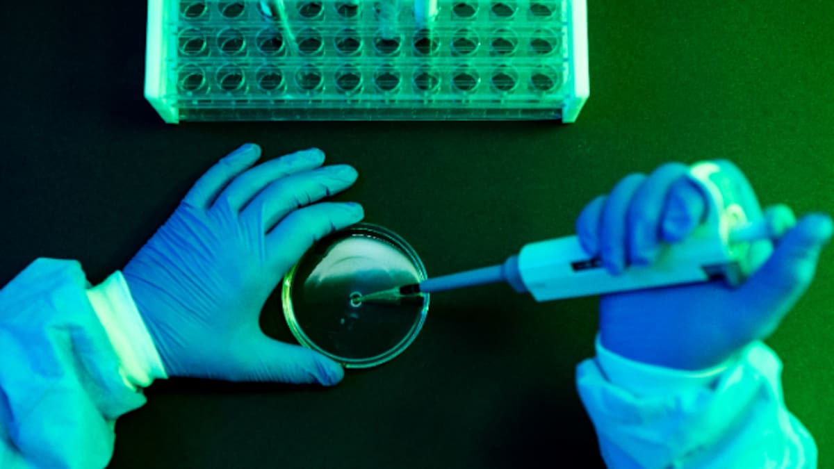 Cómo fue el primer ser vivo y cuáles fueron sus características principales