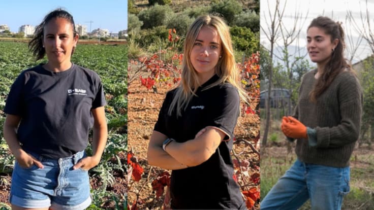 Entrevista a tres agricultoras valencianas en Hoy por Hoy CV con motivo de la declaración en 2026 como Año Internacional de la Agricultora