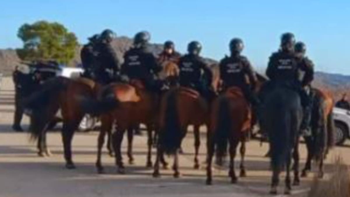 La 'Big Fucking Party' ha concluido tras siete días de música ininterrumpida, que congregó a miles de personas de todos los rincones de Europa