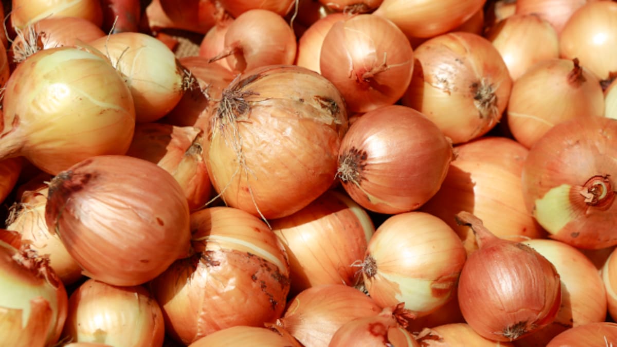 La prova de la ceba, una tradició ancestral que prediu les pluges sense l'ajuda de la IA