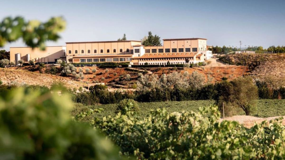 Energía, agua y emisiones: claves de la bodega sostenible y rentable con la DO Uclés