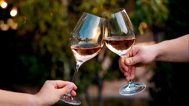 Vi La Llavor: any nou i vins novells