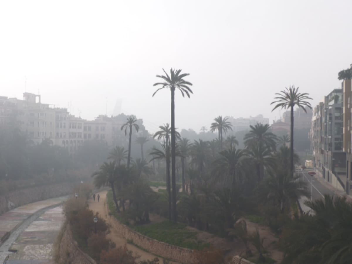 Entrevista al presidente de MeteoElx, Bruno Santandreu, sobre la niebla en Elche