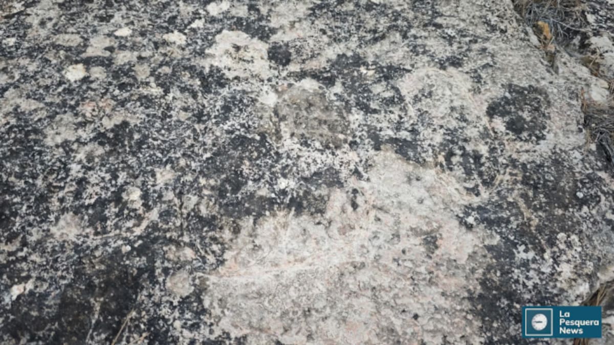 Entrevista con Federico Martínez, vecino de La Pesquera