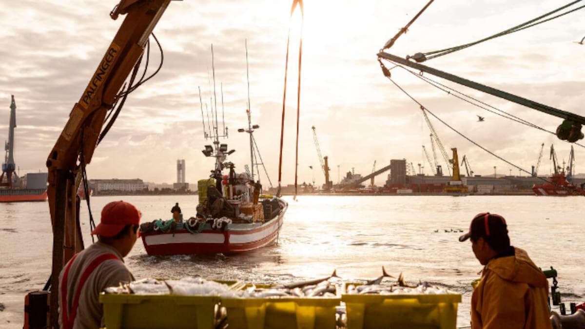 Juan Carlos Corrás, presidente de la Lonja de A Coruña