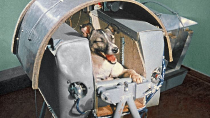 SER Historia | No, Laika no fue el primer animal en llegar al espacio: todo comenzó en 1947