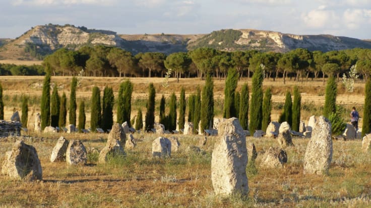 Pintia Vaccea celebra aniversario en 2026 y espera más colaboración municipal