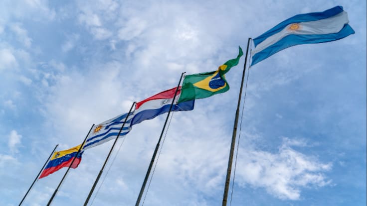 La Llavor (16/0/2026)