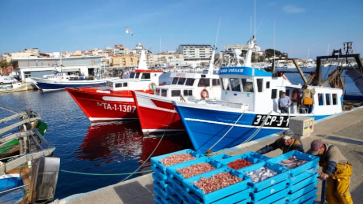 Jordi Folcarà, patró major de la cofreria de pescadors de Llançà i president del grup d’acció local pesquer de la costa Brava