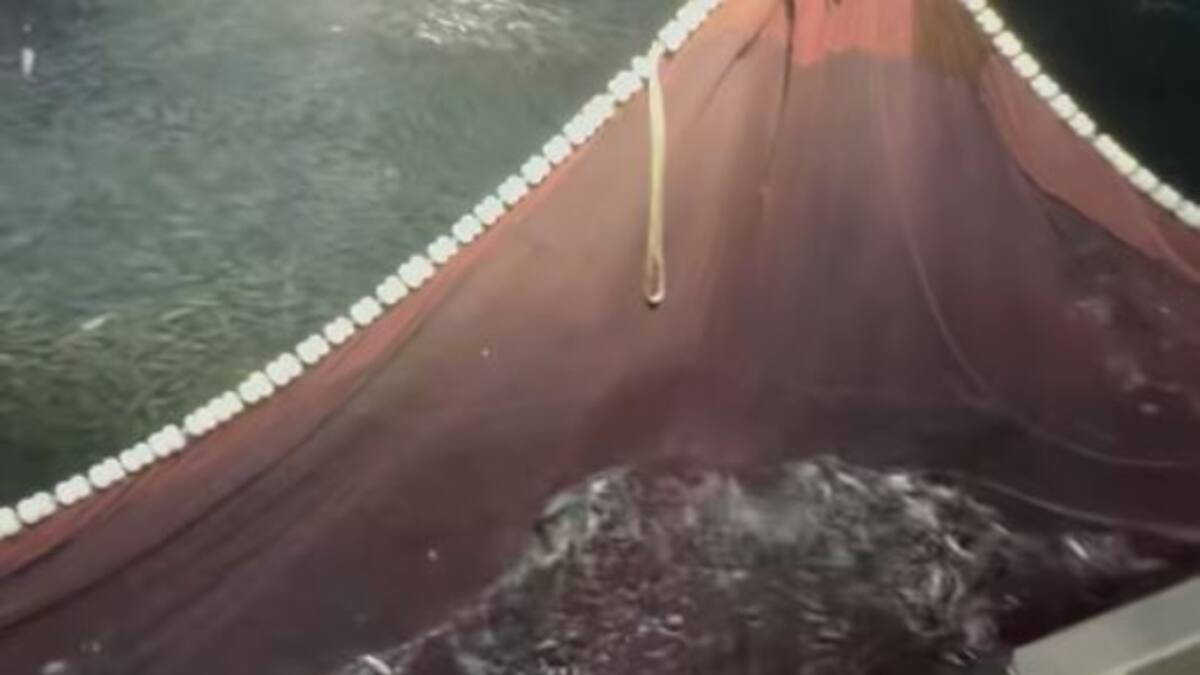 Pescadores "en pie de guerra" ante la nueva norma europea