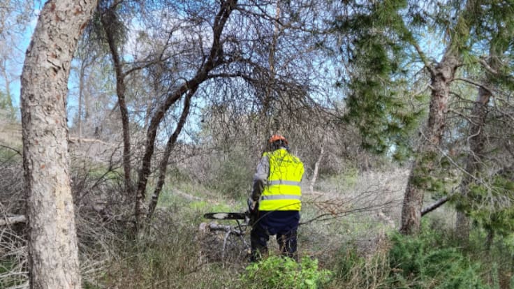 El Ayuntamiento actúa en 6 hectáreas de Montepinar para frenar los efectos de la sequía y prevenir incendios