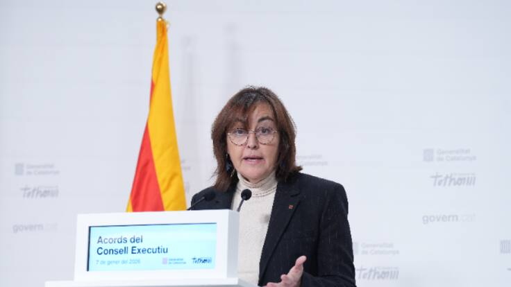 El gobierno catalán revela que las primeras inspecciones en Rodalies han encontrado "alguna roca" y "algún árbol" en las vías