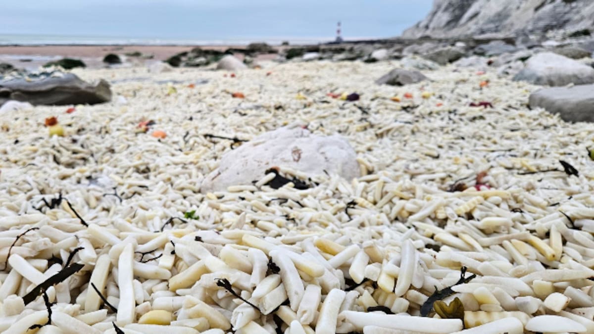 Una playa cubierta de patatas fritas y otros efectos de la mano humana en la naturaleza