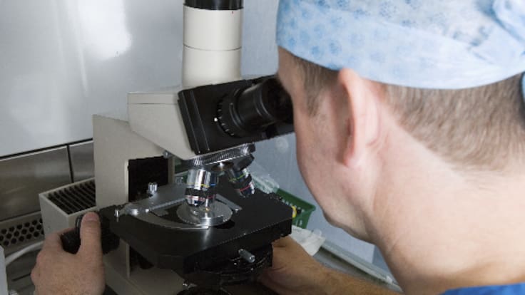 Las claves para saber si la calidad del esperma es buena