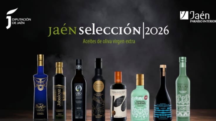 Entrevista a Paco Reyes, presidente de la Diputación de Jaén, sobre FITUR 2026