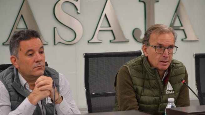 Juan José Laso, piden medidas eficaces contra la plaga de conejos