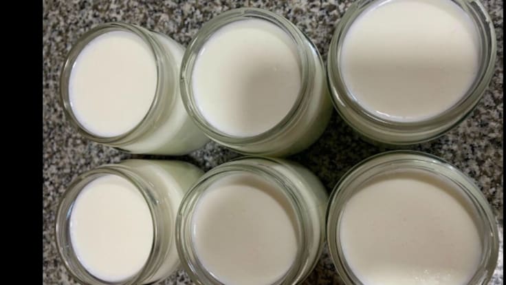 La Granja Escuela Ultzama inaugura el proyecto BIRBIZI