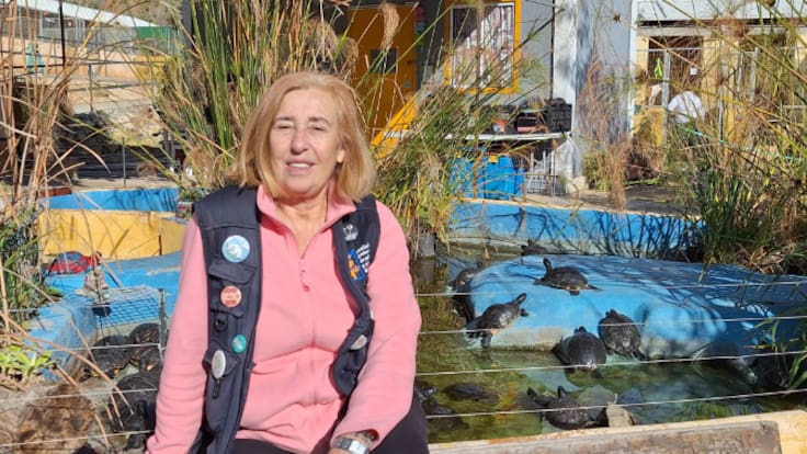 Los animales abandonados en Málaga reflejan el incremento de los costes veterinarios