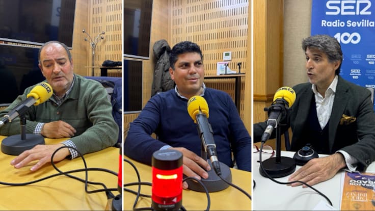 Cruz de Guía 26 de enero de 2026