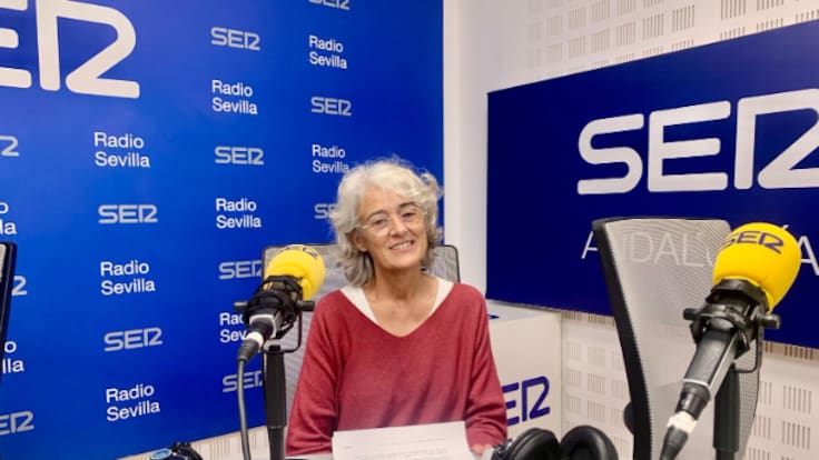 El Colegio de Arquitectos de Sevilla alerta del riesgo sobre parte del edificio de Endesa y reivindica más inversión en infraestructuras