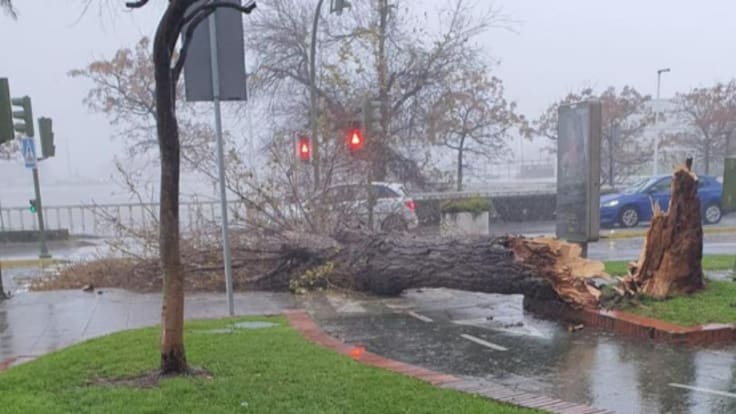 Los efectos de Kristin en la comarca