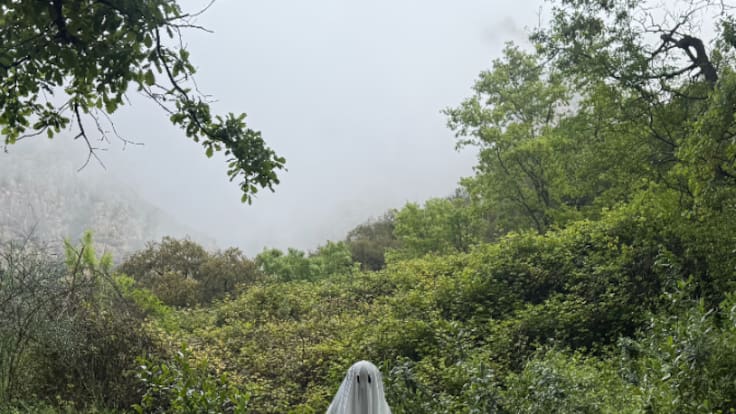 Ferran Palau: "tot el que vingui a partir d'ara és un regal"