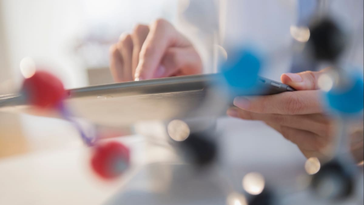 Begoña Pérez, Delegada de la Rectora para los Cursos Extraordinarios de la Universidad