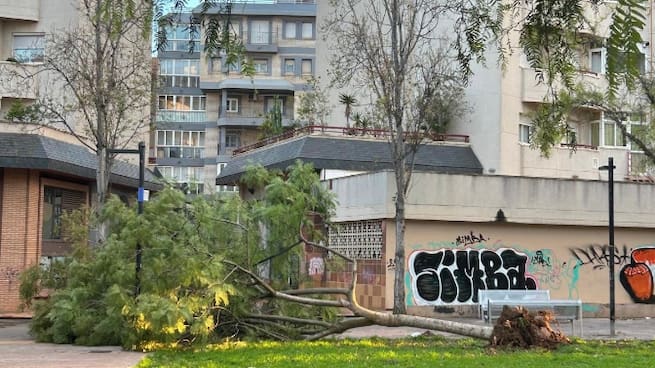 Vuelva la calma tras el temporal: se retiran los refuerzos de los bomberos de Ibiza