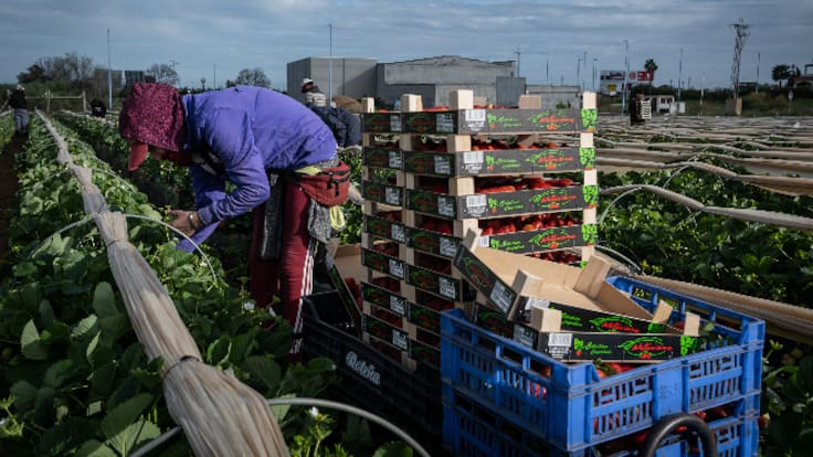 La regularización de 500.000 migrantes podría replicar el impacto económico positivo de la de 2005