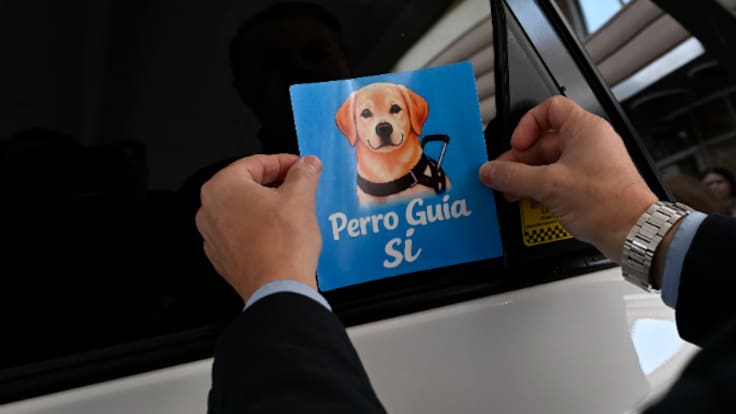 Los usuarios invidentes con perros guía tienen ya preferencia en el uso de casi 300 taxis de Murcia