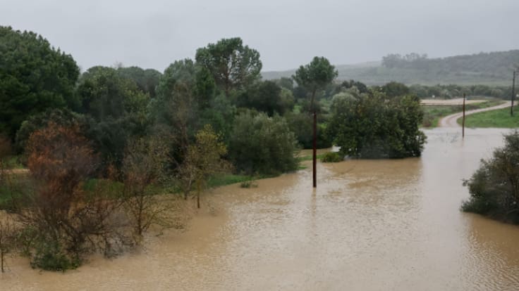 Xavier Vidal-Folch, sobre la borrasca Leonardo: "Reaccionar a tiempo es salvar vidas"