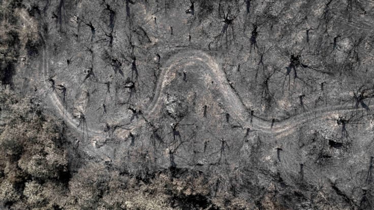 La zona cero de los incendios de Galicia, seis meses después: "Hay entornos carbonizados para muchos años"