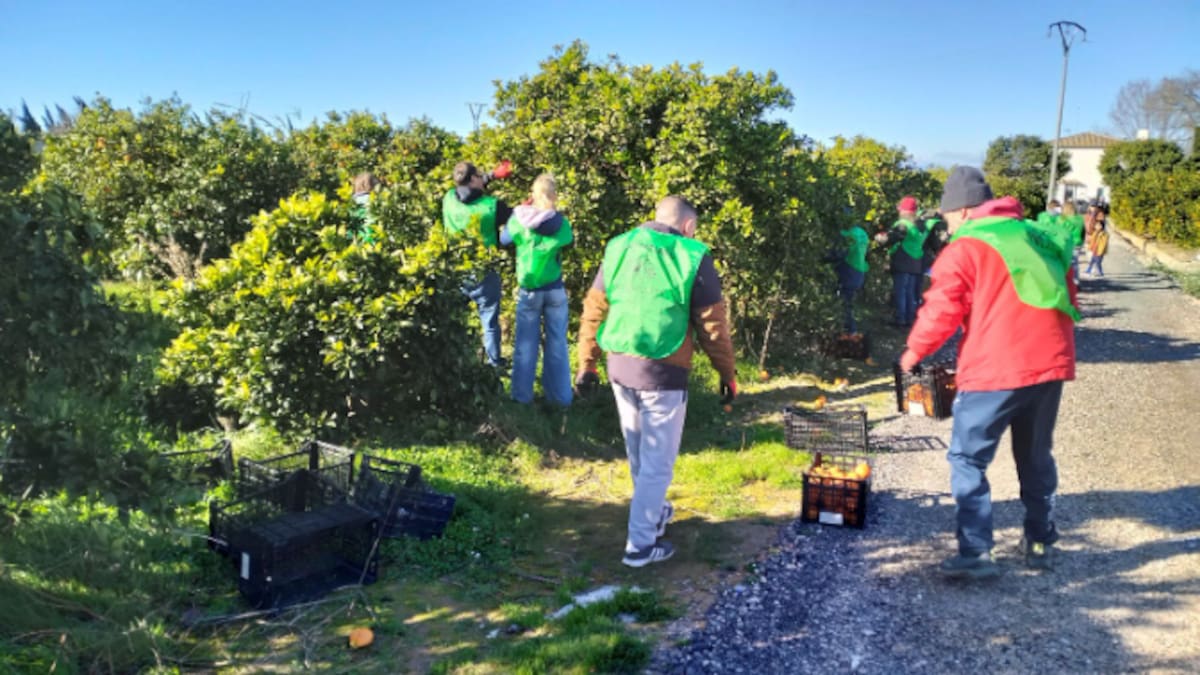 La Llavor 07-02-2026