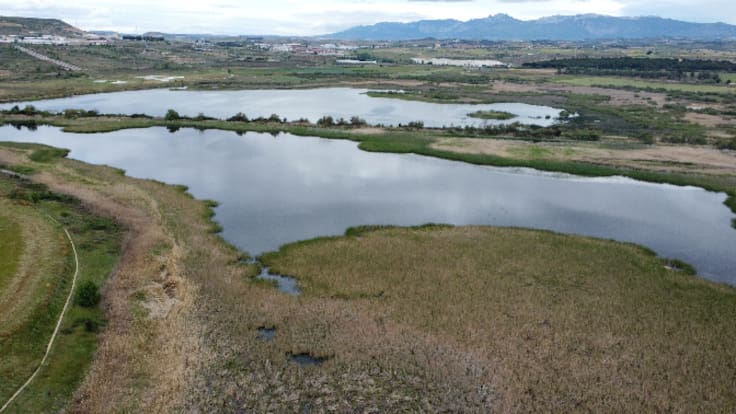Restauración de la Laguna de Pitillas y del Embalse de Las Cañas