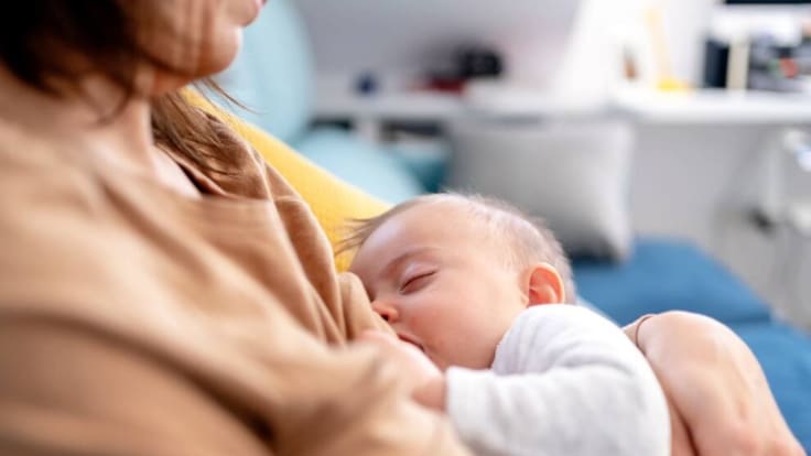 La evolución de los pezones es la leche