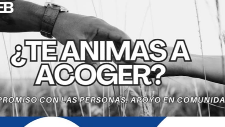 Proyecto Harrera: acogida de menores migrantes no acompañados