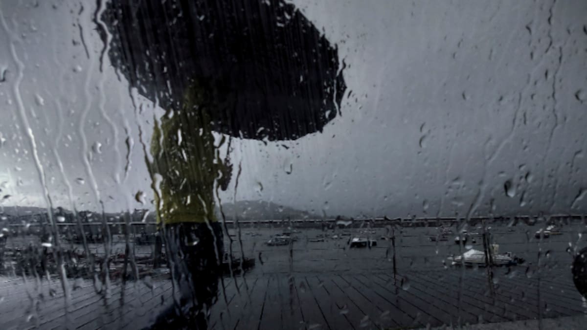 Diana Piñeiro, alcaldesa de Cambre