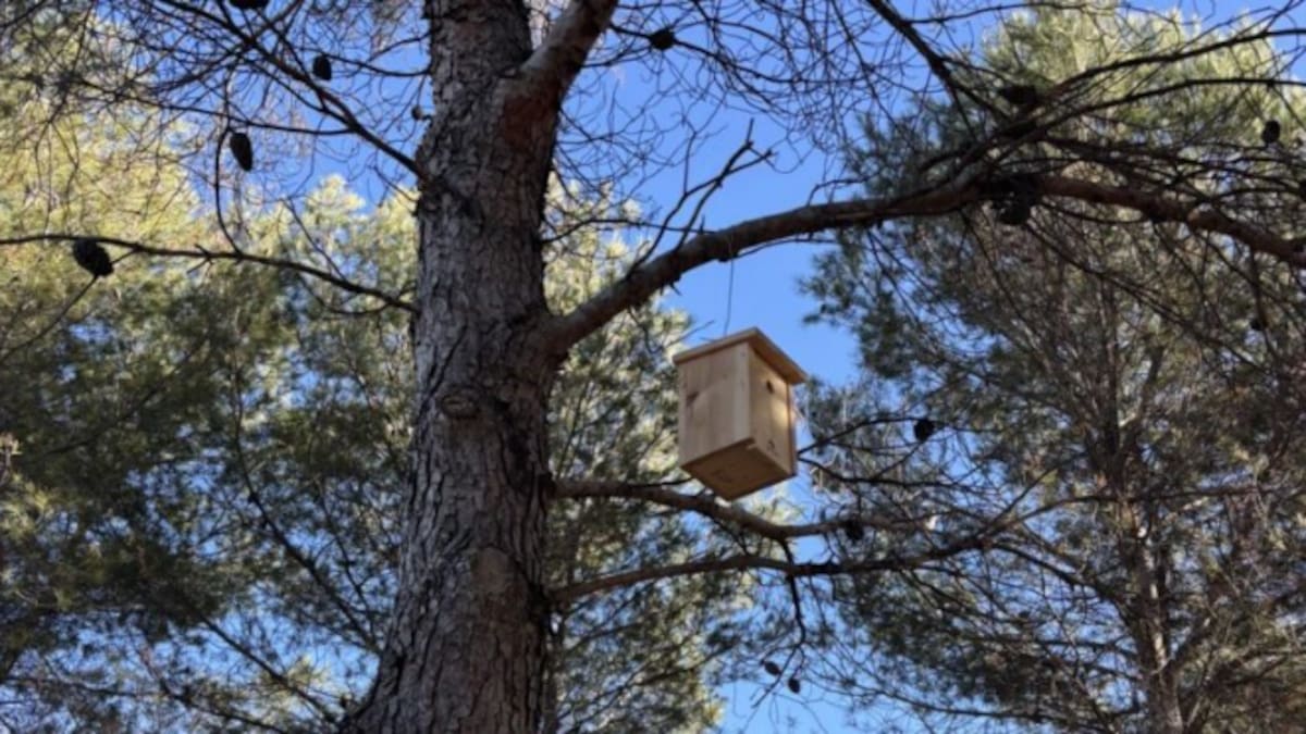 Entrevistamos a Carlos Díaz, responsable del departamento de Medio Ambiente (i), y Jesús Pérez. concejal de Transición Ecológica y Medio Ambiente de Getafe