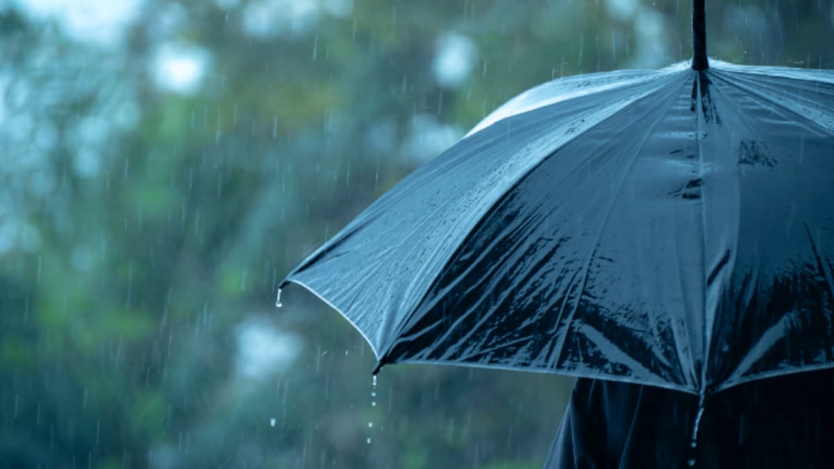 Meteorología Leonesa: Récord de días consecutivos de lluvia en León: 22... y creciendo (10/02/2026)