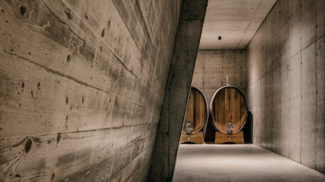 Vi la Llavor: Agenda DO Utiel-Requena 2026