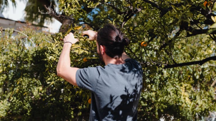 La Llavor 14/02/2026