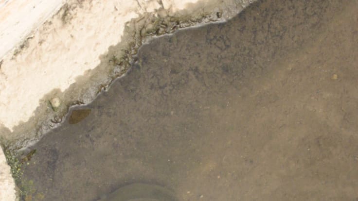 Mari Cruz Ferreira: "La veda total perjudicará al sector pesquero"