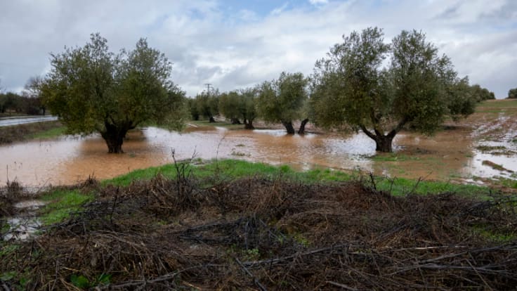 Jaraíz (14/02/2026)