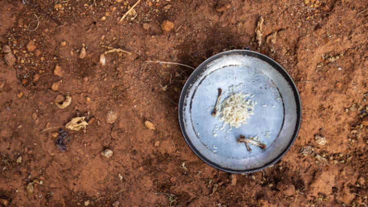 Un experto da el escalofriante dato que refleja la realidad del hambre en el mundo