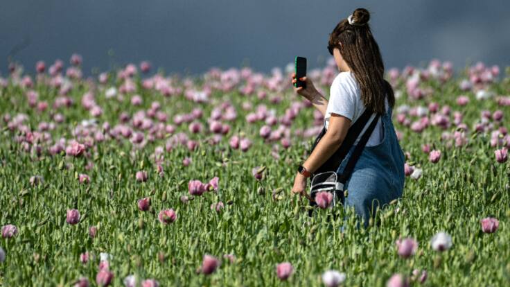 Urbanitas en el mundo rural
