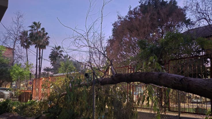 Fuensanta Conesa sobre la situación del CEIP Mariano Aroca