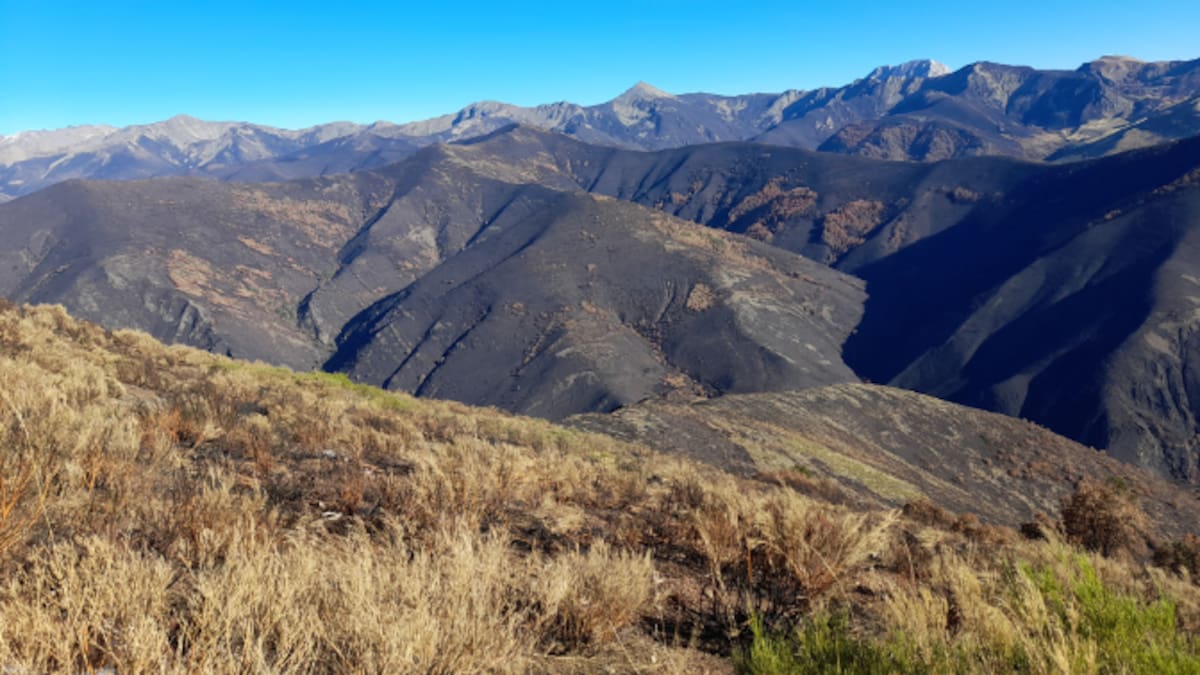 León, hacia rutas salvajes: La huella de los incendios de los Picos de Europa leoneses medio año después (17/02/2026)