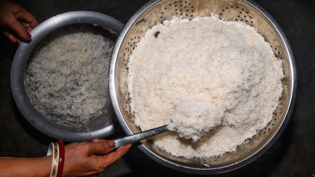 Reportaje | Un grano de arroz da para mucho