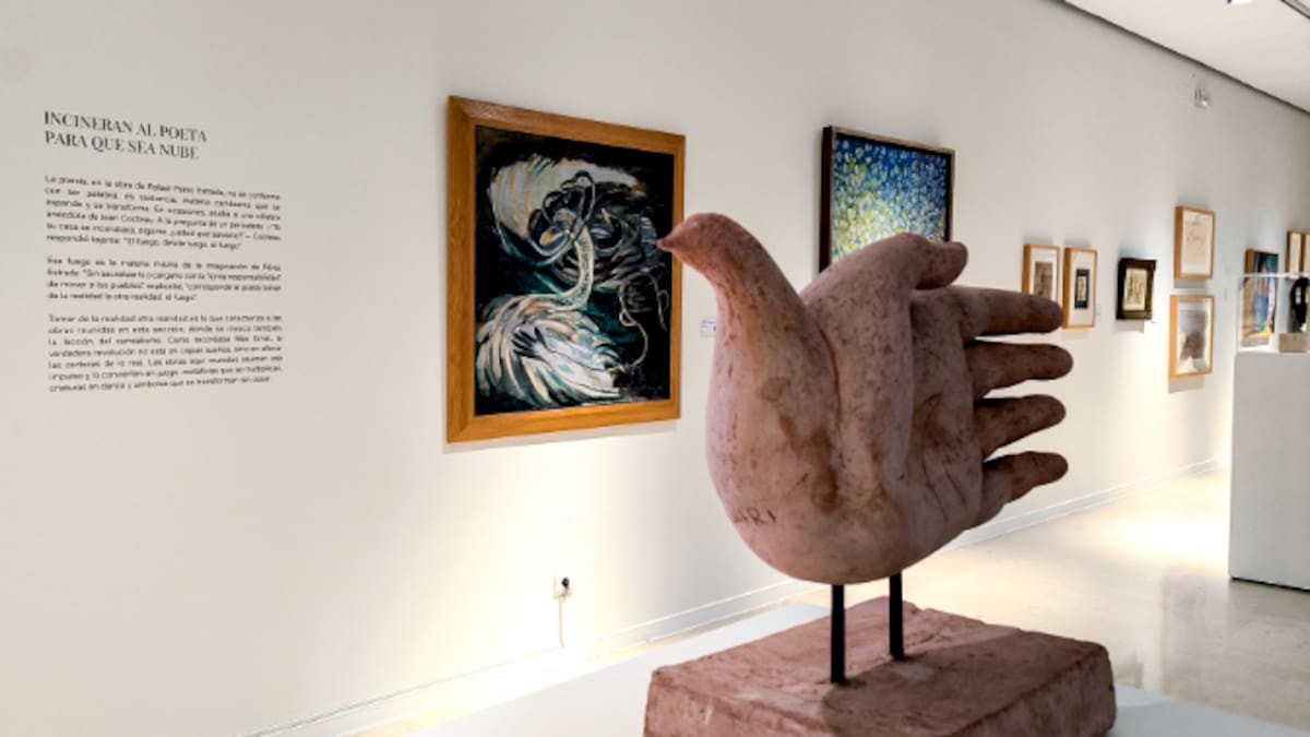 MuCAC La Coracha despliega las alas de Rafael Pérez Estrada