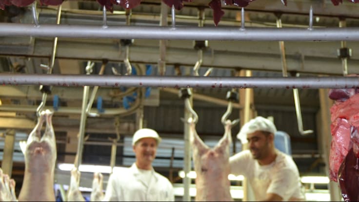 La Llavor (21-02-2026)